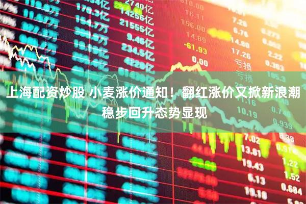 上海配资炒股 小麦涨价通知！翻红涨价又掀新浪潮 稳步回升态势显现