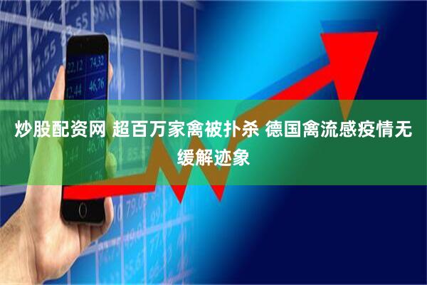 炒股配资网 超百万家禽被扑杀 德国禽流感疫情无缓解迹象