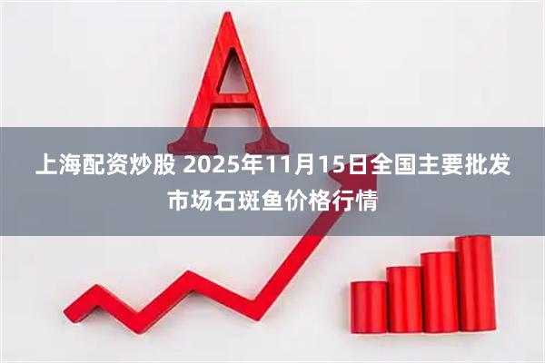上海配资炒股 2025年11月15日全国主要批发市场石斑鱼价格行情