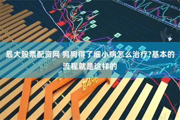 最大股票配资网 狗狗得了细小病怎么治疗?基本的流程就是这样的