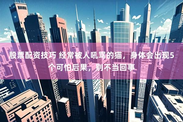 股票配资技巧 经常被人吼骂的猫，身体会出现5个可怕后果，别不当回事
