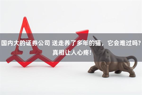 国内大的证券公司 送走养了多年的猫，它会难过吗? 真相让人心疼!